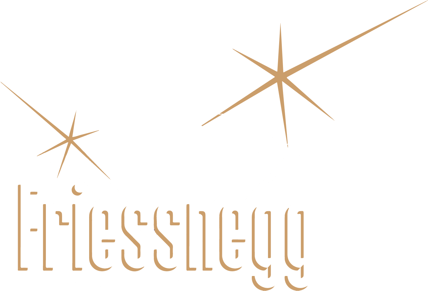 Christoph Friessnegg  Logo
